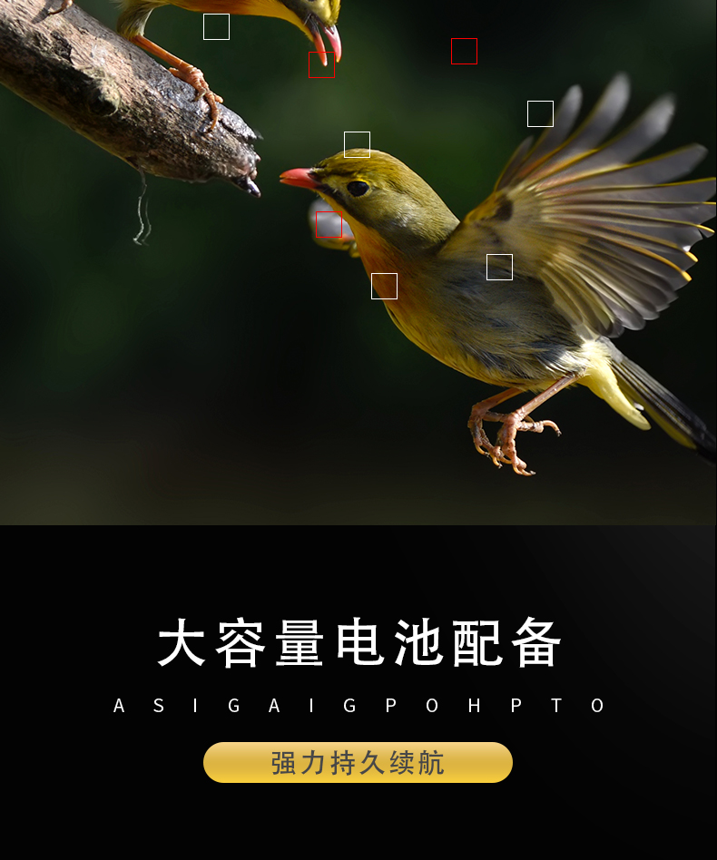 本安型防爆数码相机Excam1805