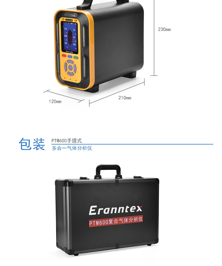 PTM600 复合型气体分析仪